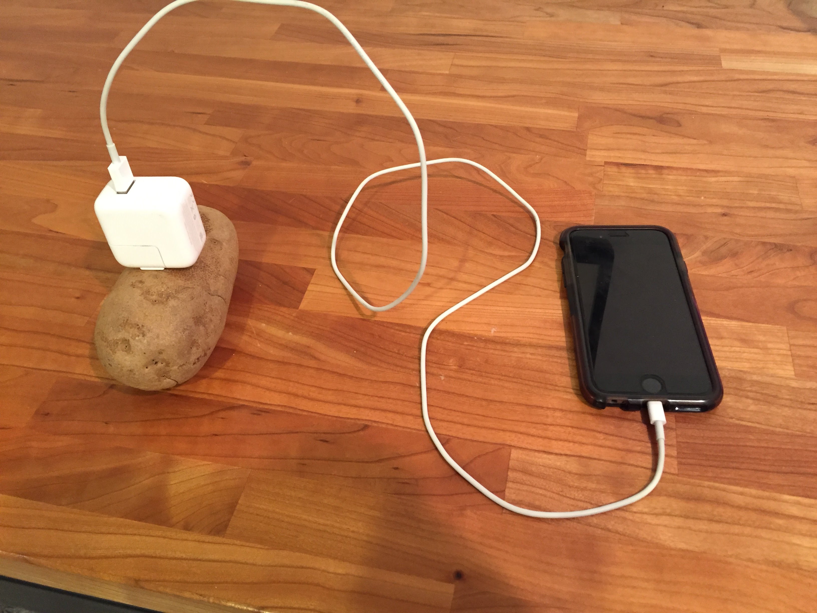 Телефон зарядка нету. Зарядка для телефона. Зарядка от картошки. Зарядка из картошки для телефона. Зарядник телефона из картошки.